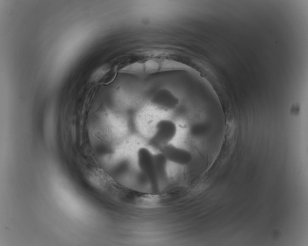 X0000114720381200911121738