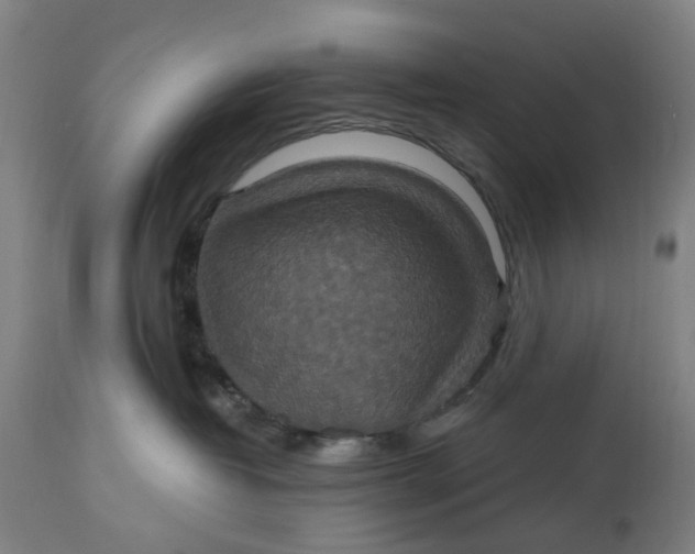 X0000114720382200911121738