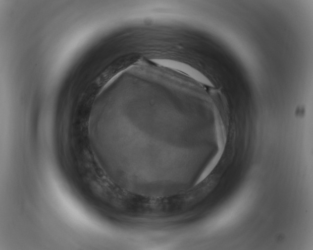 X0000114720383200911121738