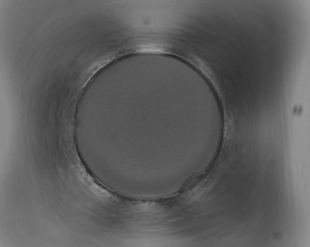 X0000114720385200911121737