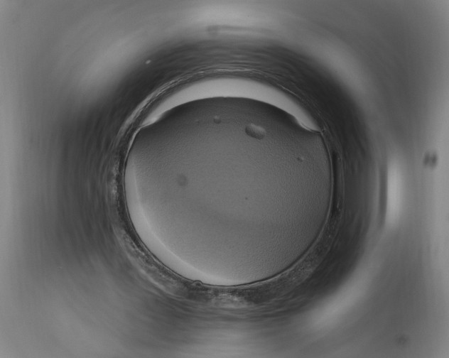 X0000114720387200911121737