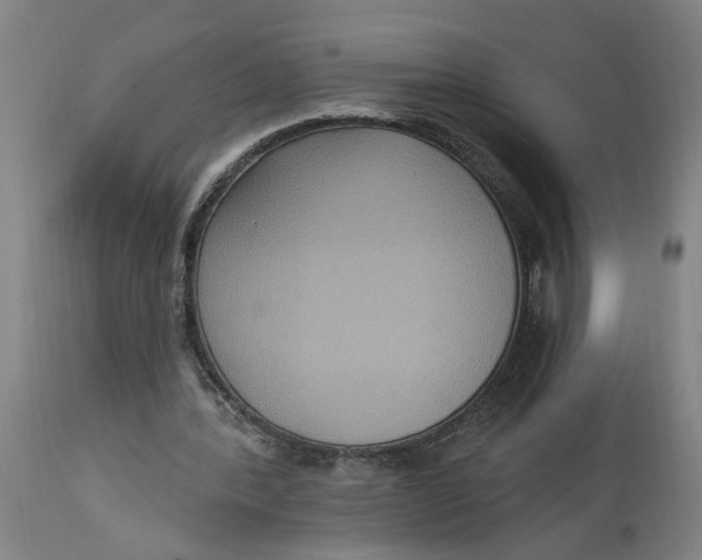 X0000114720388200911121737