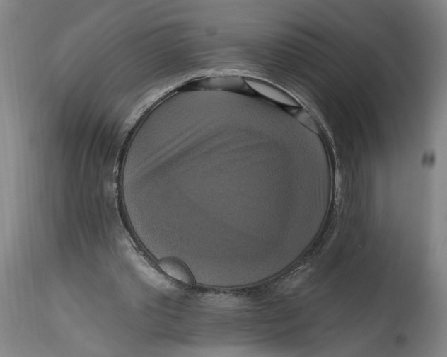 X0000114720389200911121737