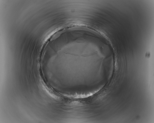 X0000114720390200911121737