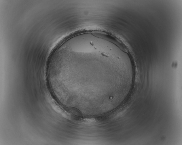 X0000114720391200911121737