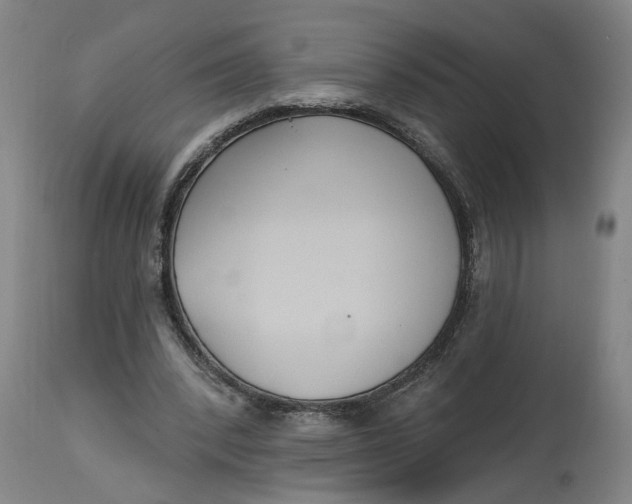 X0000114720392200911121737