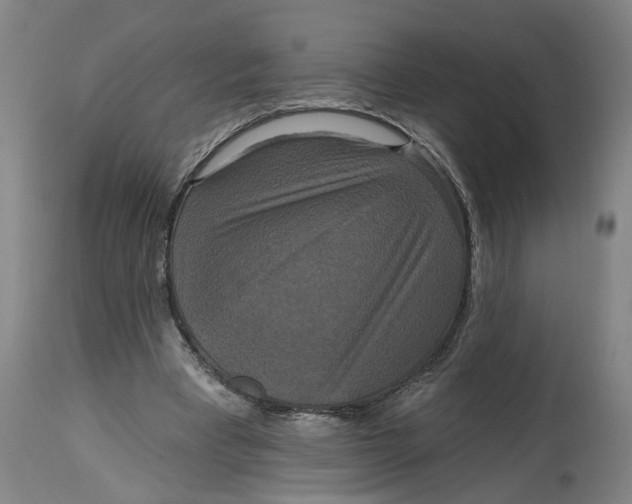 X0000114720393200911121737