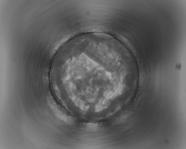 X0000114720394200911121737