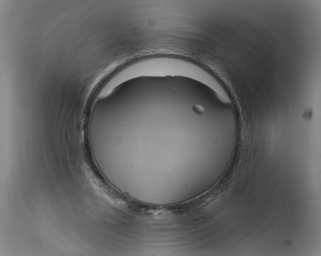 X0000114720395200911121737