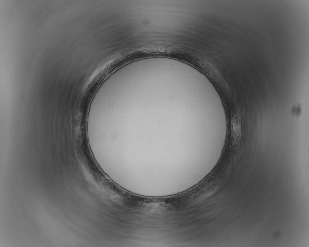 X0000114720396200911121737