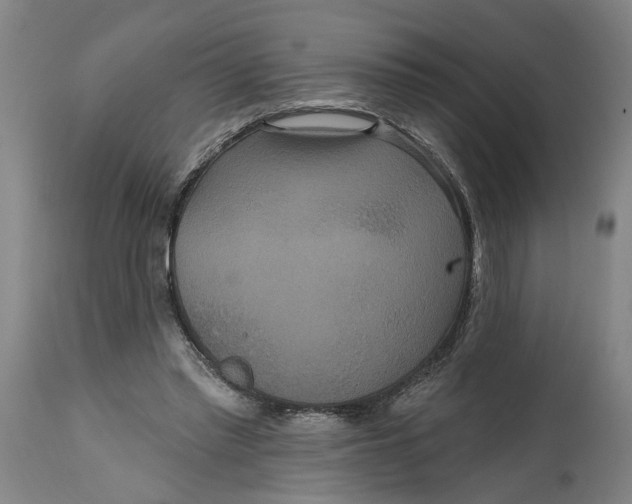 X0000114720397200911121737