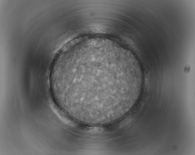 X0000114720398200911121737