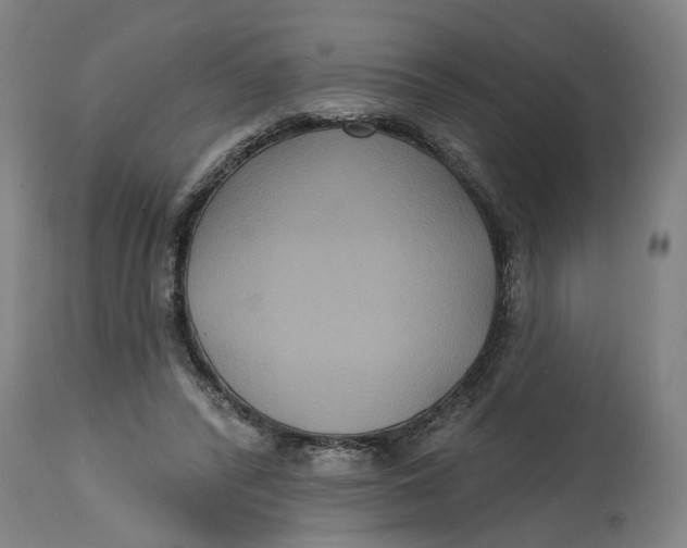 X0000114720400200911121737