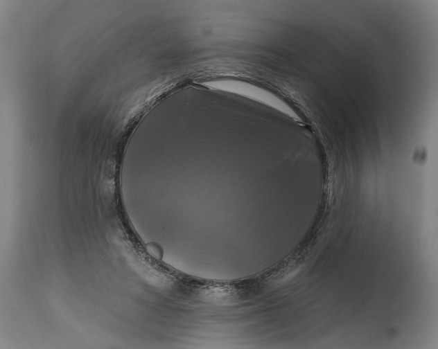 X0000114720402200911121737