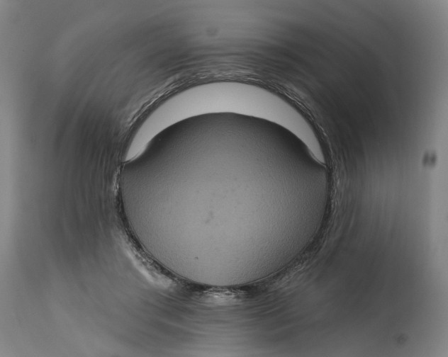 X0000114720405200911121737