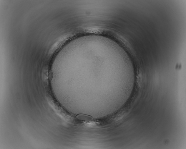 X0000114720407200911121737