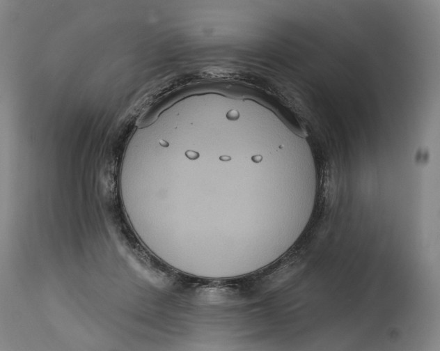 X0000114720408200911121737