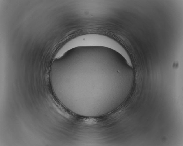 X0000114720409200911121737