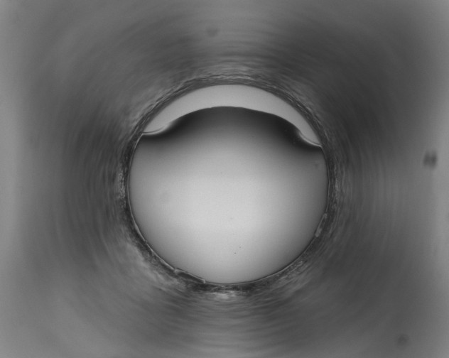 X0000114720411200911121737