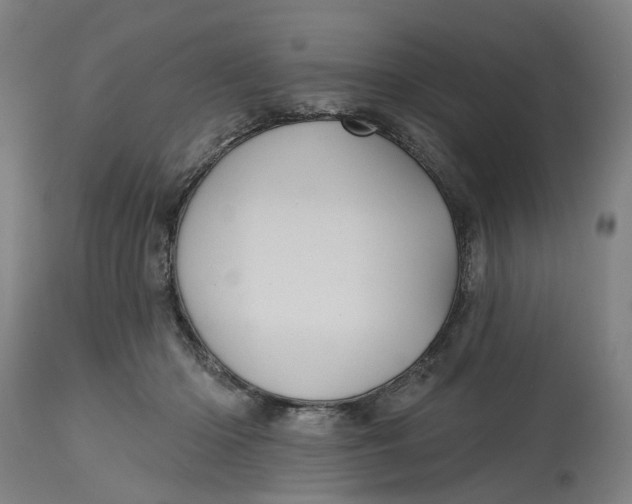 X0000114720414200911121737