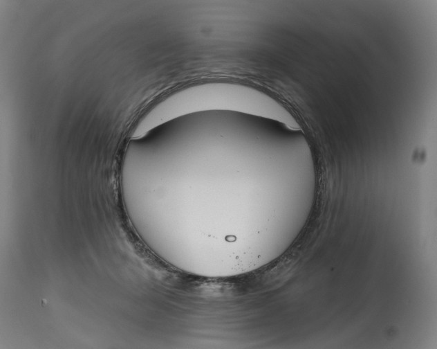 X0000114720415200911121737