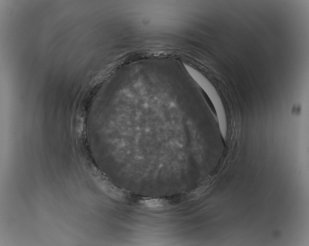 X0000114720417200911121737