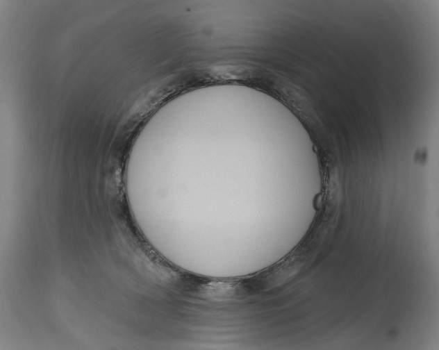 X0000114720418200911121737