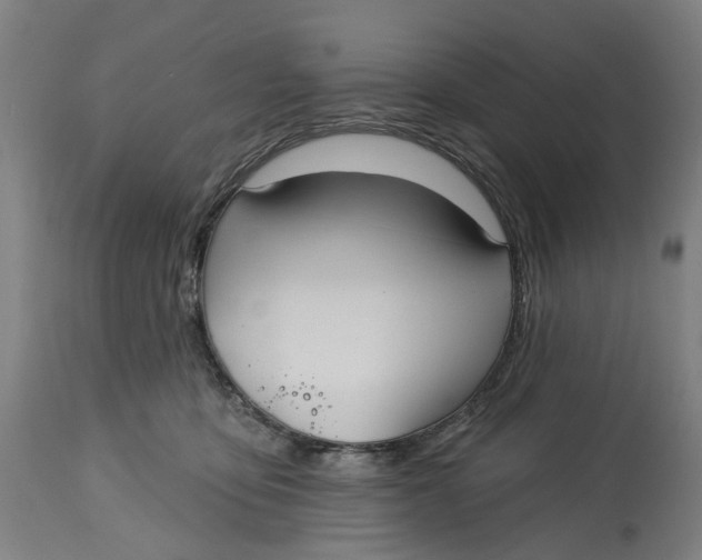 X0000114720419200911121737