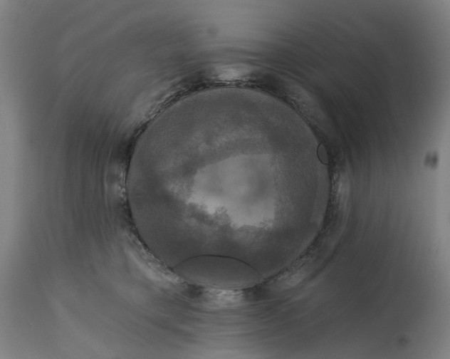 X0000114720421200911121737