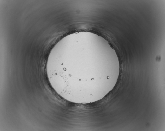 X0000114720423200911121737