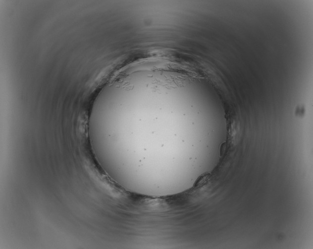 X0000114720424200911121737