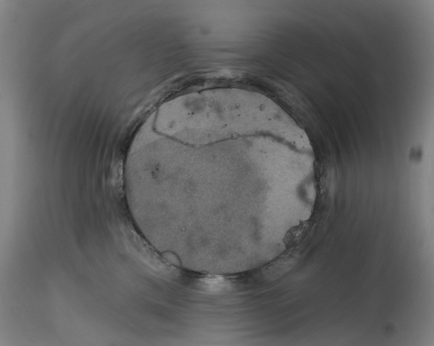 X0000114720425200911121737