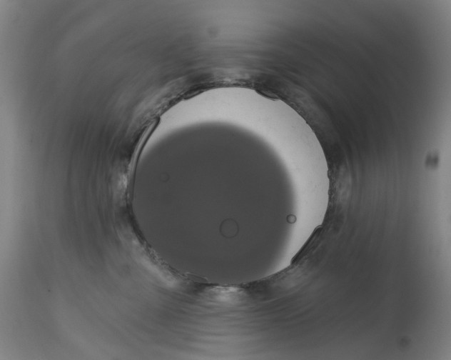 X0000114720427200911121736