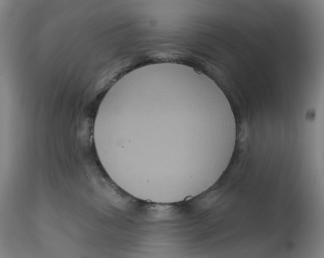 X0000114720428200911121736