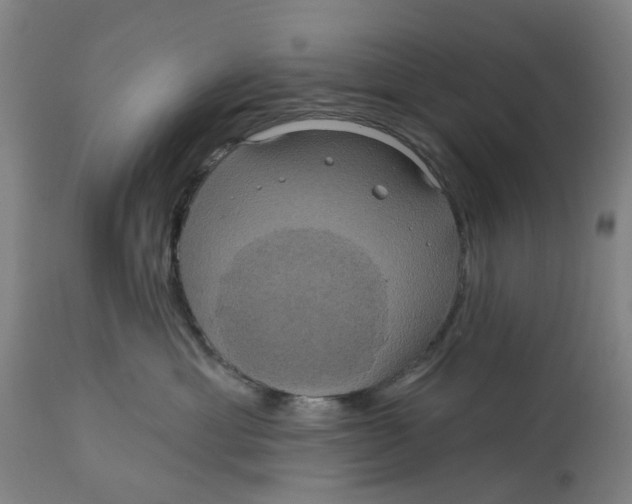 X0000114720429200911121736