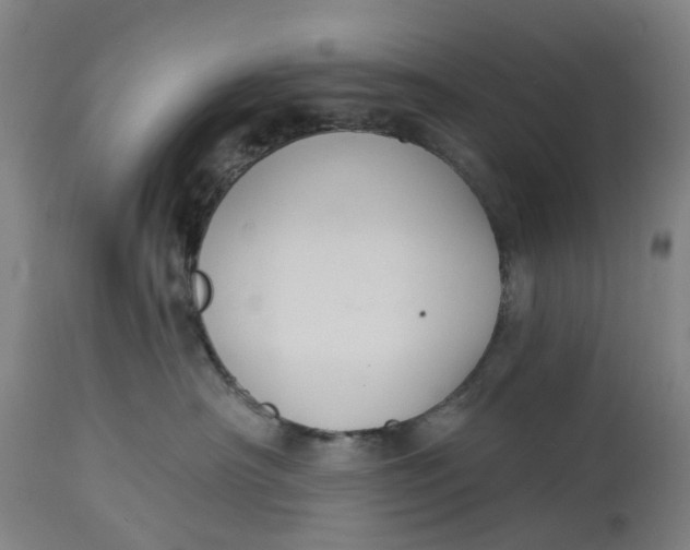 X0000114720430200911121736