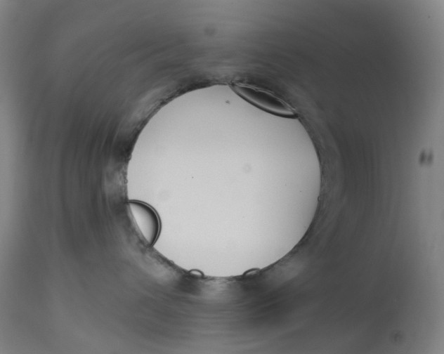 X0000114720432200911121736