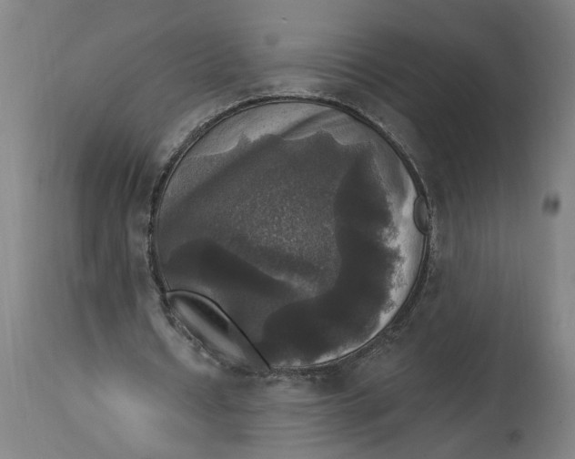 X0000114720434200911121736