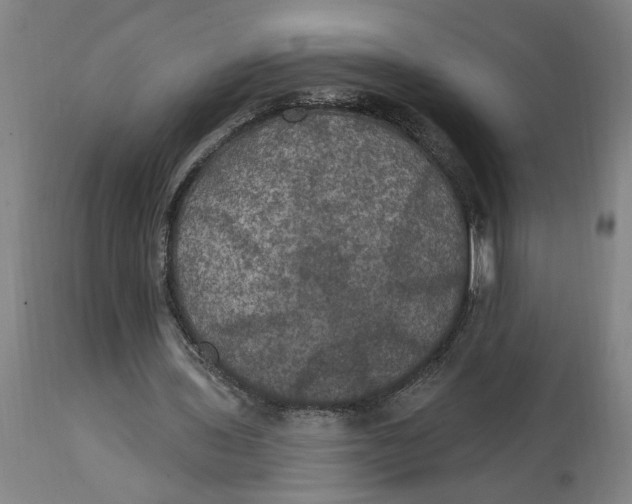 X0000114720435200911121736