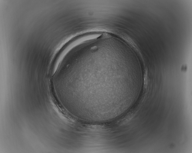 X0000114720436200911121736