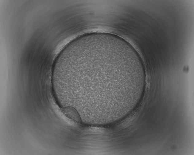 X0000114720437200911121736