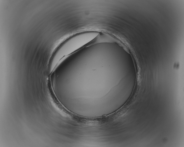 X0000114720438200911121736