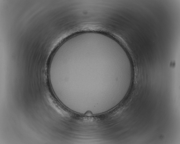 X0000114720439200911121736