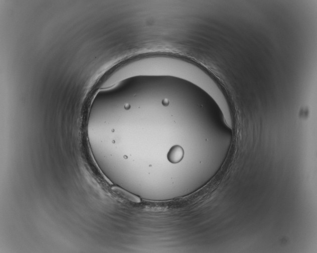 X0000114720440200911121736