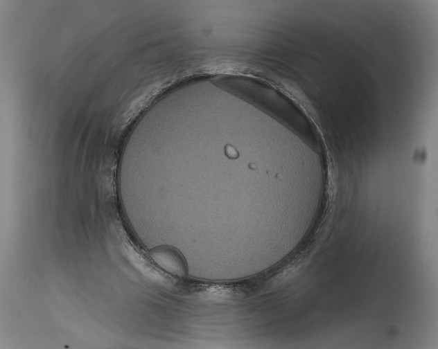 X0000114720441200911121736