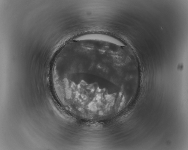 X0000114720443200911121736