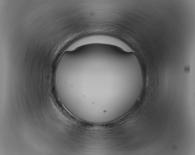 X0000114720444200911121736