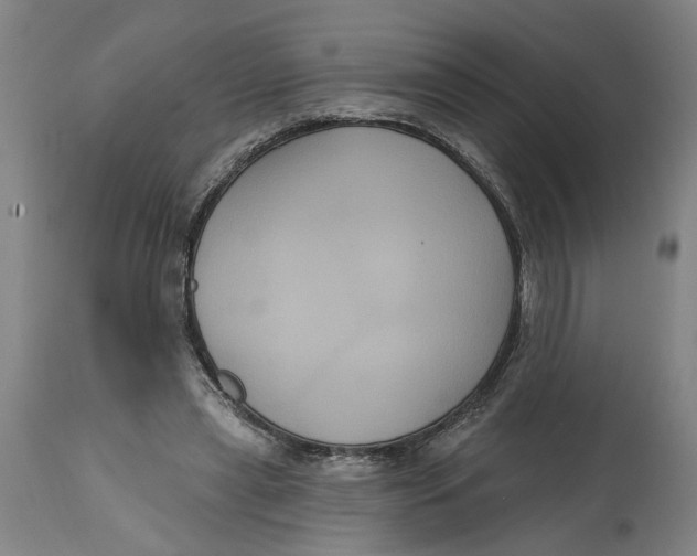 X0000114720445200911121736