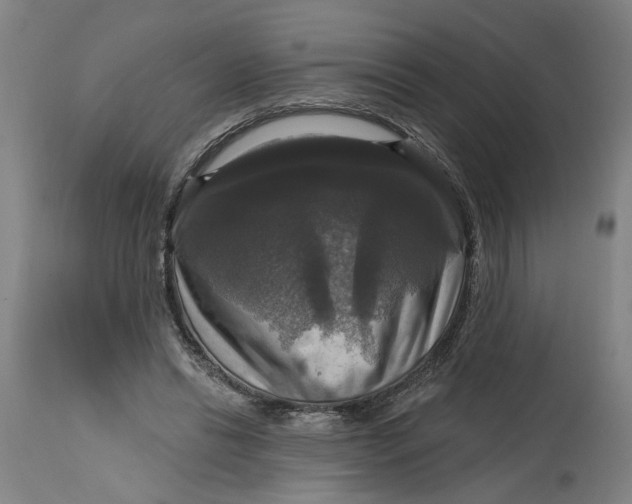 X0000114720446200911121736