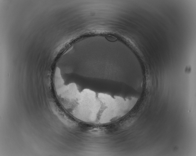 X0000114720447200911121736